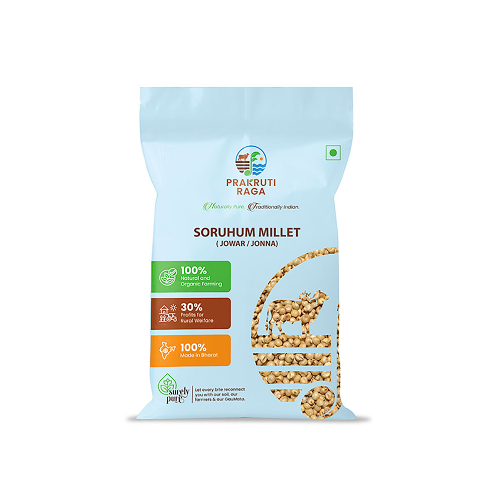 Sorghum / Jowar Grains